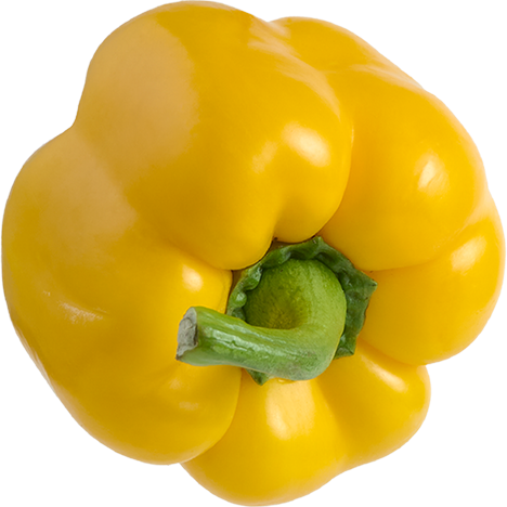 vegetable_box_vert_0000s_0000_Calque-2