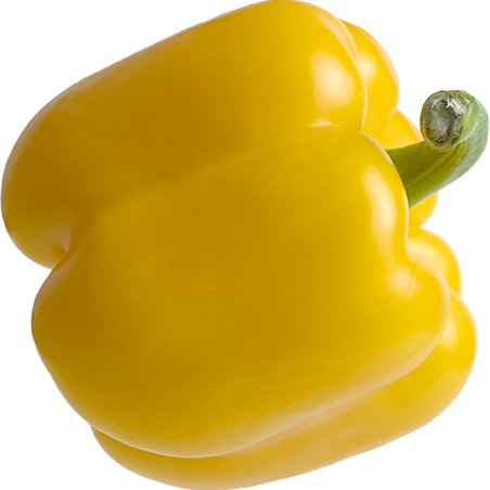 vegetable_box_vert_0000s_0002_Calque-4