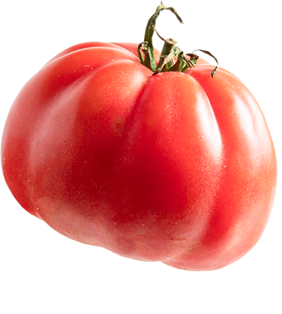 vegetable_box_vert_0000s_0006_Calque-1