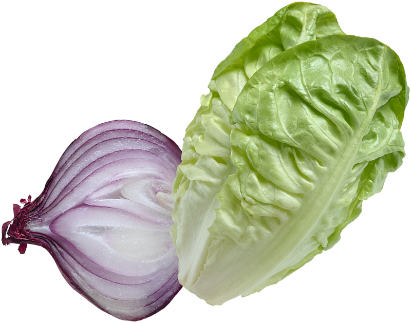 gemme-salade